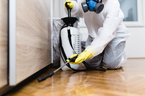 Best Best Pest Control Companies  in Port Orange, FL