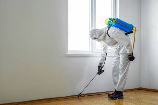 Best Pest Prevention Services  in Port Orange, FL