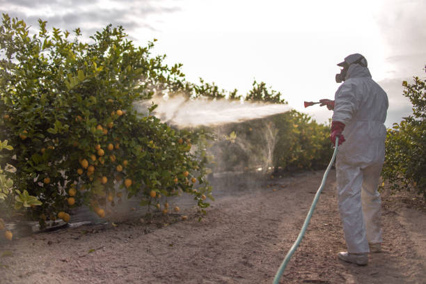 Best Spider Control Near Me  in Port Orange, FL